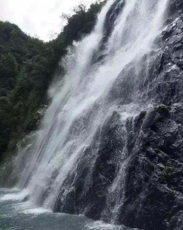 蓝狐视频